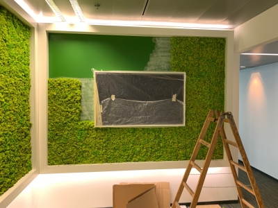 Montage einer Lebendbürowand